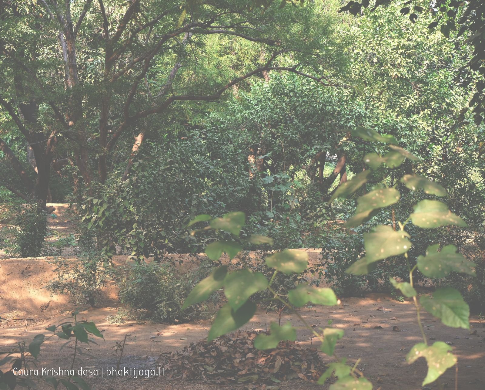  Varshana parikrama and preaching. 2019.12.10